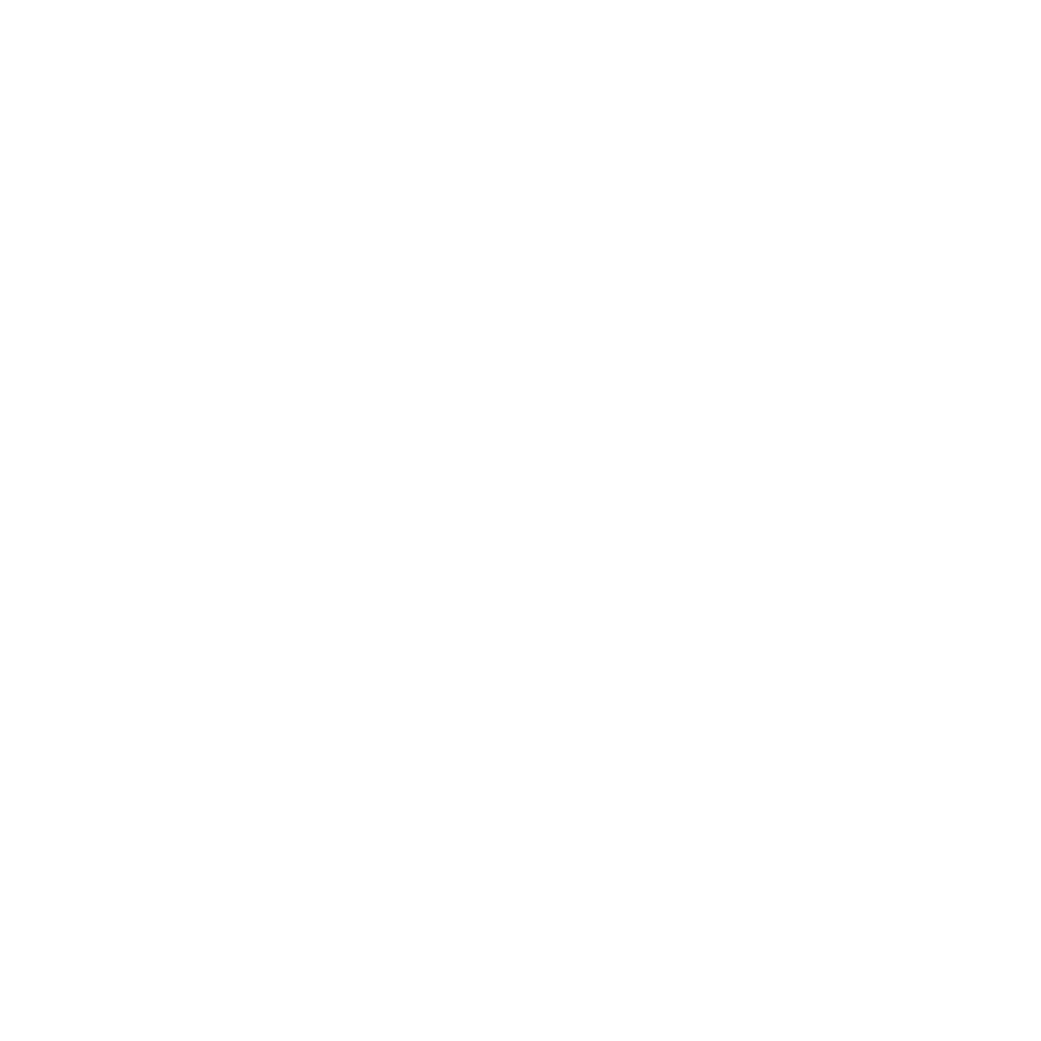 Logo in white